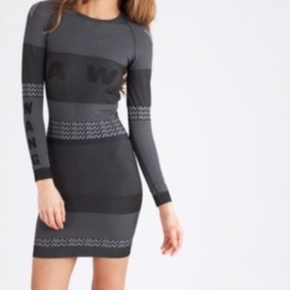 Alexander Wang Dresses & Skirts - Wang x HM Dress